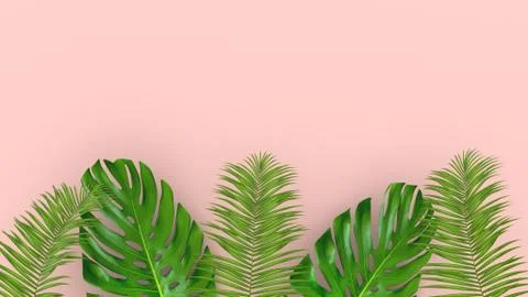 3D render of realistic palm leaves on pink background for cosmetic ad or fashion 스톡 일러스트