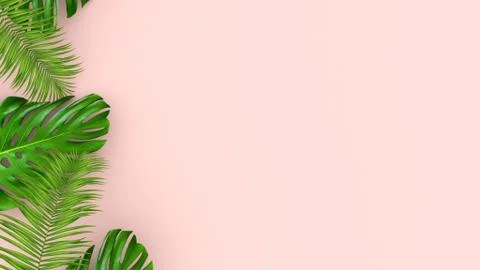 3D render of realistic palm leaves on pink background for cosmetic ad or fashion Stock Illustration