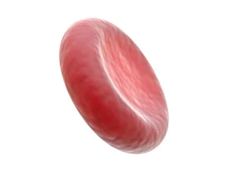 3D render of red blood cell isolated on white. Stock Illustration