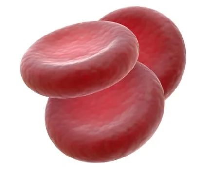 3D render of red blood cells isolated on white. Stock Illustration