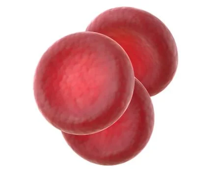 3D render of red blood cells isolated on white. Stock Illustration