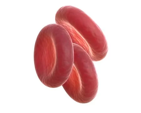 3D render of red blood cells isolated on white. Stock Illustration