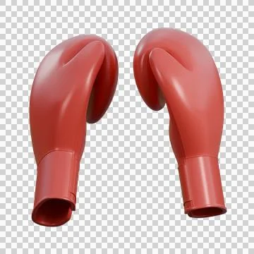 3D render of red boxing gloves representing endurance, discipline, and perf.. Illustration