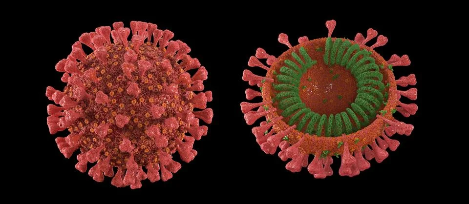 3d render red coronavirus on a black background Stock Illustration