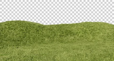 3D render - Rolling Green Grassy Hills Under a Clear Sky Stock Photos