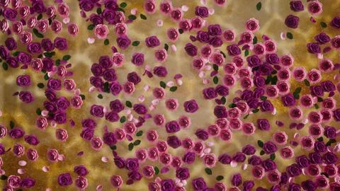 3d render roses with petals float on the water on a golden background Stock Illustration