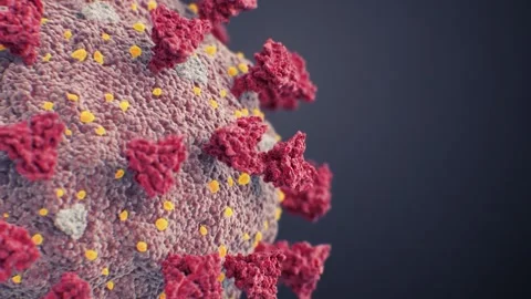 3d render of sarscov2 coronavirus particles 스톡 동영상 344330036