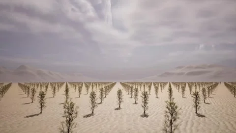 3d render of Saudi Arabia plans to plant many hectares of trees in desert Stock Footage 296037030