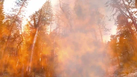 3d render of scene with fire and flames Stock Footage 115573318