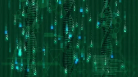 3D render showing binary digits falling, code sliding building data rain over Stock Footage 310971458
