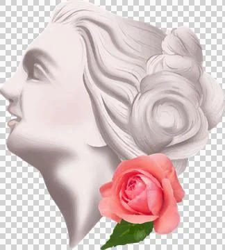 3D render is showing marble bust with pink rose, green leaf on transparent Stock Illustration