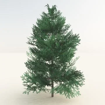 3D render of a single evergreen tree in a vast, empty white environment Ilustración de archivo