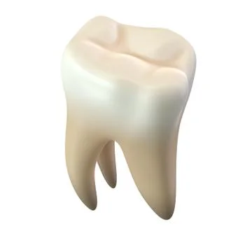 3D render of single molar tooth isolated on white Stock Illustration