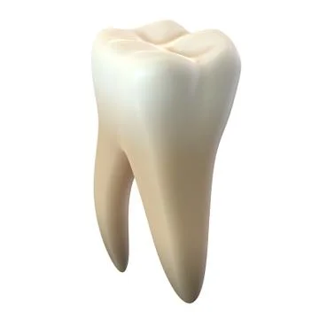 3D render of single molar tooth isolated on white Stock Illustration