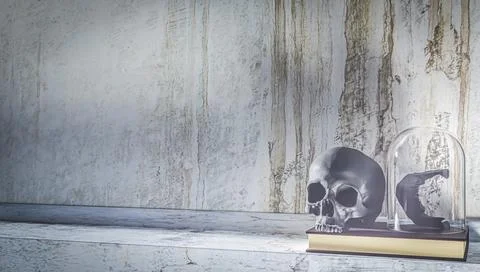 3d render of a skull on a book and the jaw exposed in a glass dome. 스톡 일러스트