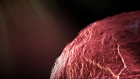 3d render sperm and egg by Polymime animation company http://www.polymime.com Stock Footage 75407560