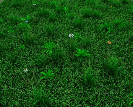 3d render of a spring grass and flowers background Stock Illustration