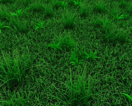 3d render of a spring grass background Stock Illustration