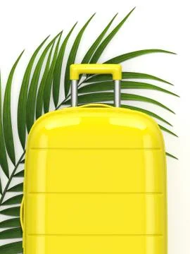 3d render of suitcase with palm leaf over white Fotos de archivo