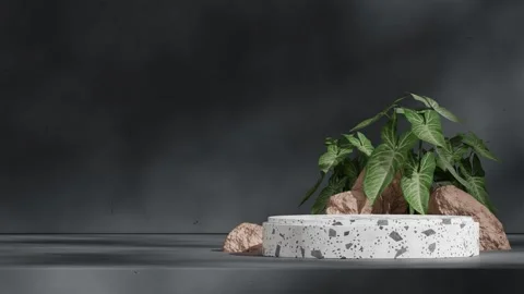 3D render template background of podium mockup with moving shadow Stock Footage 267353230