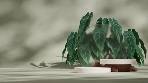 3D render template background of podium mockup with moving shadow Stock Footage 267355456