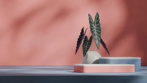 3D render template background of podium mockup with moving shadow Stock Footage 267362755