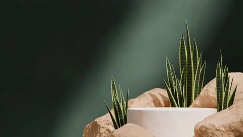 3D render template background of podium mockup with moving shadow Stock Footage 274047852