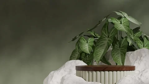 3D render template background of podium mockup with moving shadow Stock Footage 274047860