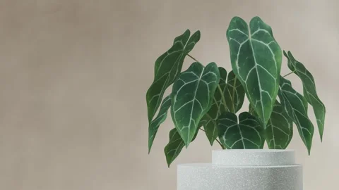 3D render template background of podium mockup with moving shadow Stock Footage 274465758