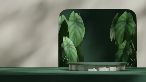 3D render template background of podium mockup with moving shadow Stock Footage 292053759