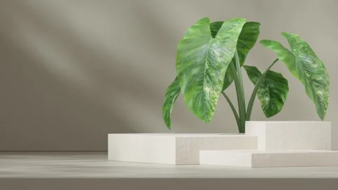 3D render template background of podium mockup with moving shadow Stock Footage 308446763