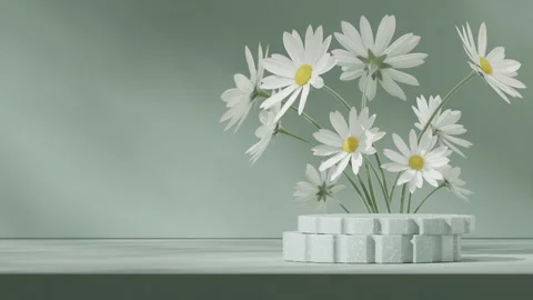 3D render template background of podium mockup with moving shadow Stock Footage 308526364