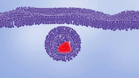 3d render transcytosis by Polymime http://www.polymime.com Stock Footage 75364799