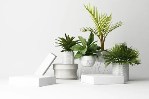 3D render of tropical plants isolated on white background. 库存照片