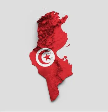 3D render of the Tunisia map shape with the flag isolated on a gray background Stock Illustration