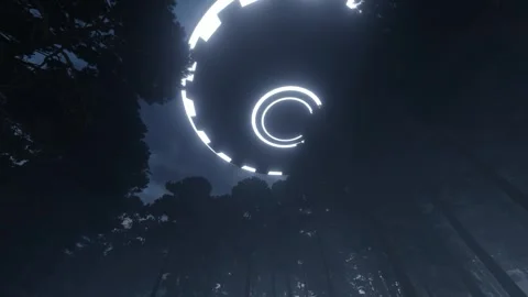 3d-render. UFO in the sky at night over the forest Stock Footage 247996400