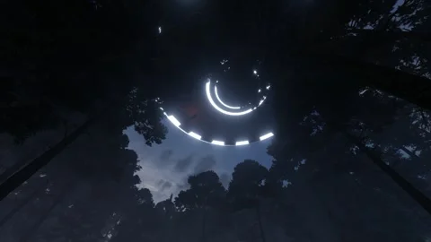 3d-render. UFO in the sky at night over the forest Stock Footage 247996477