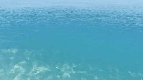 3D render. Umbrella with two sun loungers on the shore of the blue sea. Stock Footage 278507363