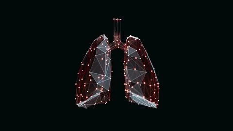3d render of a vibrant, low-poly lungs over dark background Stock Illustration