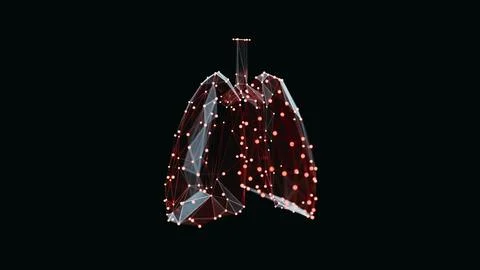 3d render of a vibrant, low-poly lungs over dark background Stock Illustration