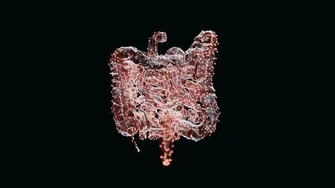 3d render of a vibrant, low-poly intestine over dark background Stock Illustration