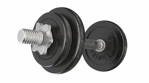 3D render of vintage dumbbell isolated on white Stock Illustration