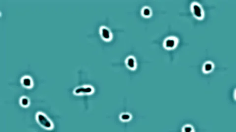 3d render virus of bacillus or microorganism under microscope. Macro germ cells Stock Footage 108555784