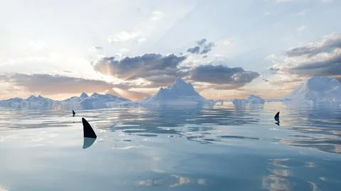 3d render of vivid sky and sharks in icy waters Stock Illustration
