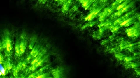 3d render vj loop Lighting design incorporating neuralinspired swirls and 库存影片 348388086