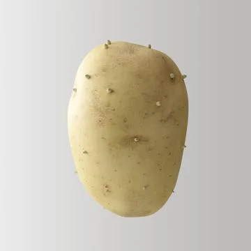 3D Render of Washed Potato Closeup on White Background Stock Illustration