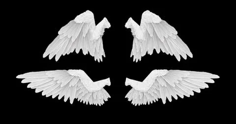 3D render White angel wings with on an black background Stock-Illustration