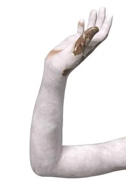 3D Render of White marble female hand statue Stock Photos