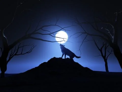 3D render of a wolf howling at the moon Stock Illustration