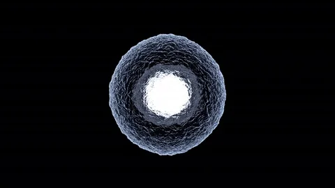 3D rendered Animation of Cell Replication Vídeos de archivo 70650187